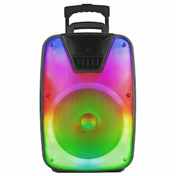 IQ Sound 12" Portable Bluetooth DJ Speaker